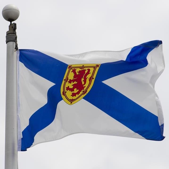 Pandemic, cellphones may have contributed to rise in N.S. school violence: officials